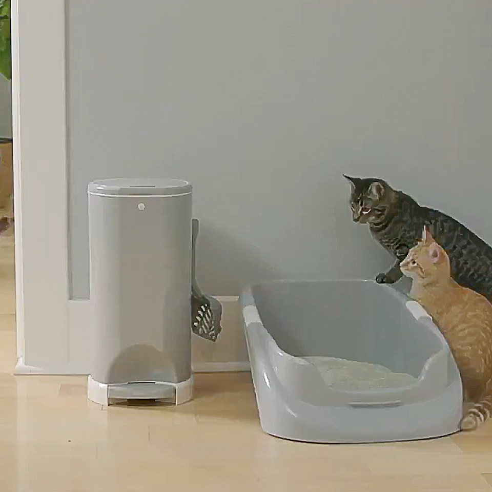 Lucky Champ Litter Tray